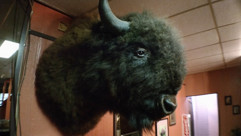 d12-buffalo-inn-head2