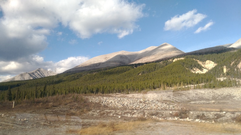 d13b-ground-tree-mountain-sky